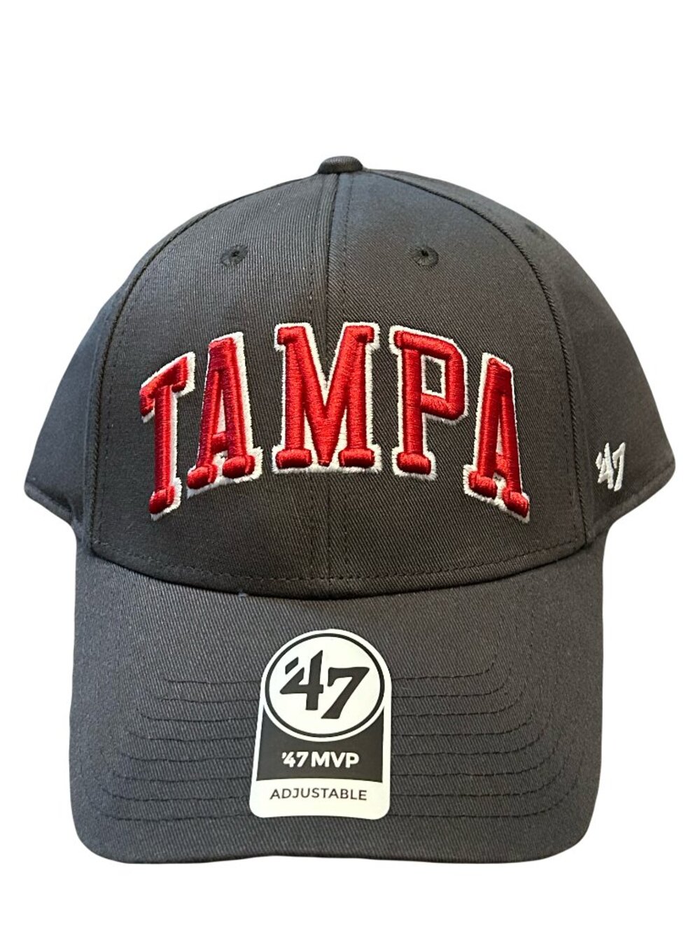 NWT University of Tampa Spartans '47 Brand MVP Script Adjustable Hat